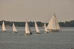 oars fleet and skipjack-01