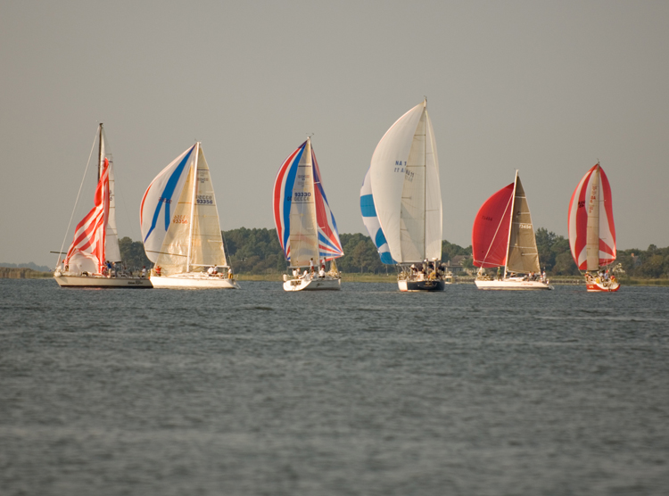 hammond cup race-21