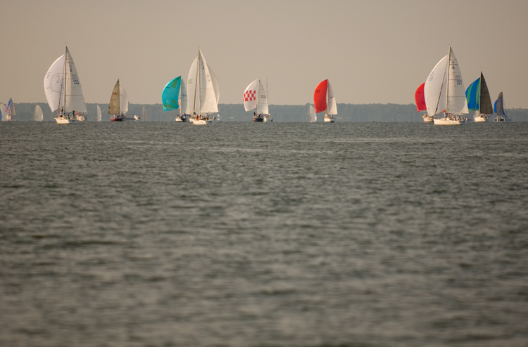hammond cup race-36