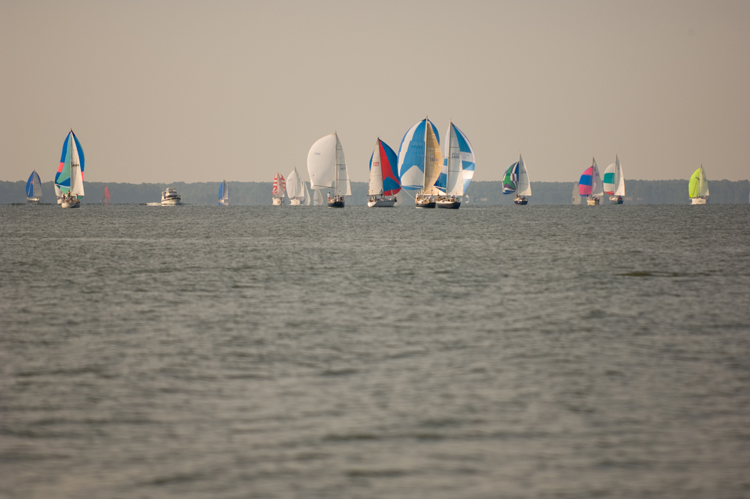 hammond cup race-57
