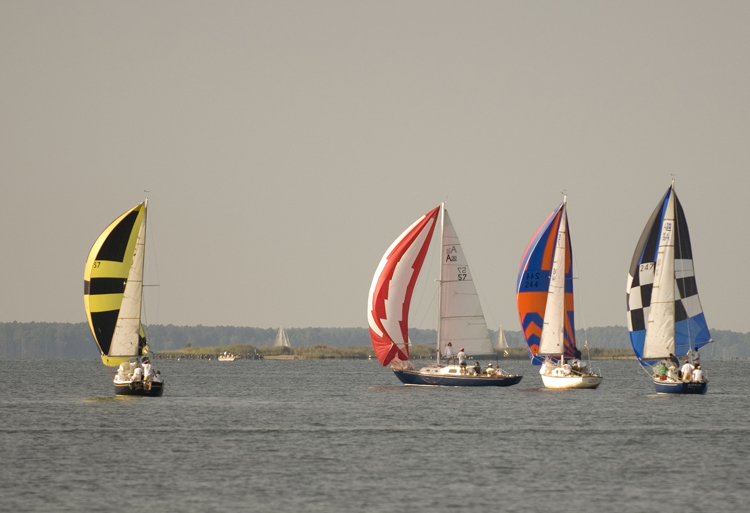 hammond cup race-63