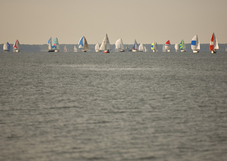 hammond cup race-67