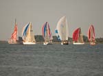 hammond cup race-21