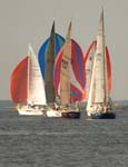 hammond cup race-24 vt crop
