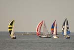 hammond cup race-63