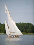 heritage regatta-08220945