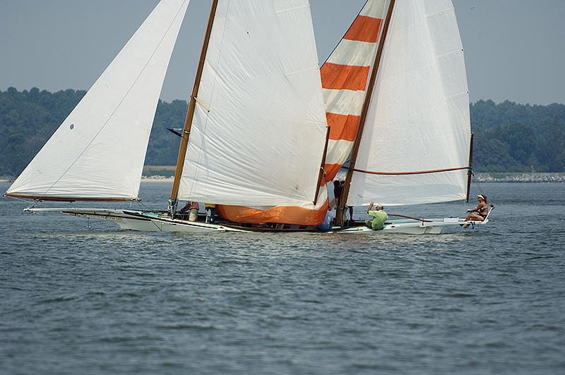 heritage2006-blossum-03