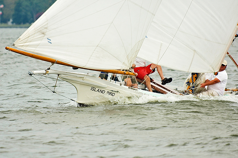 heritage2006-sun-bird-01