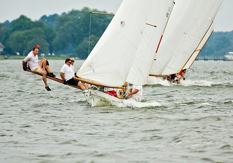 heritage2006-sun-bird-08