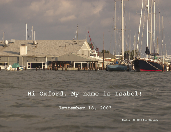 schooners-front-03
