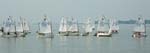 tayc jr regatta-14