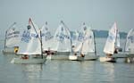 tayc jr regatta-21