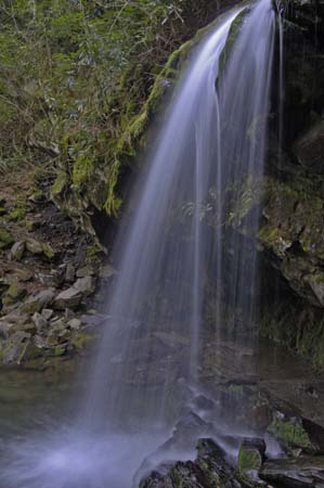 falls thin-1