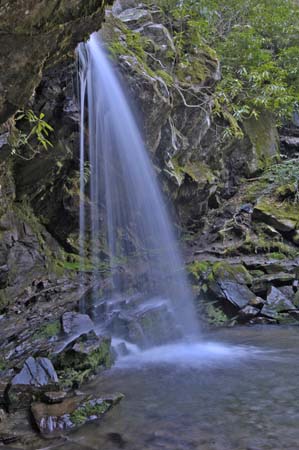 falls thin-4