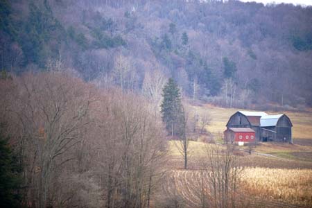 farm north fork road-01