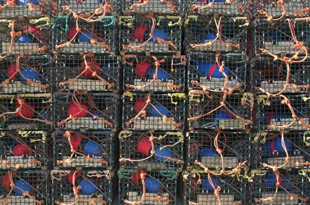 lobster traps colorful