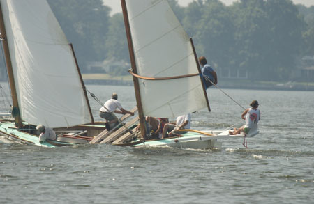 gov-cup-070 blossum