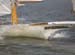 log canoes friday am-044