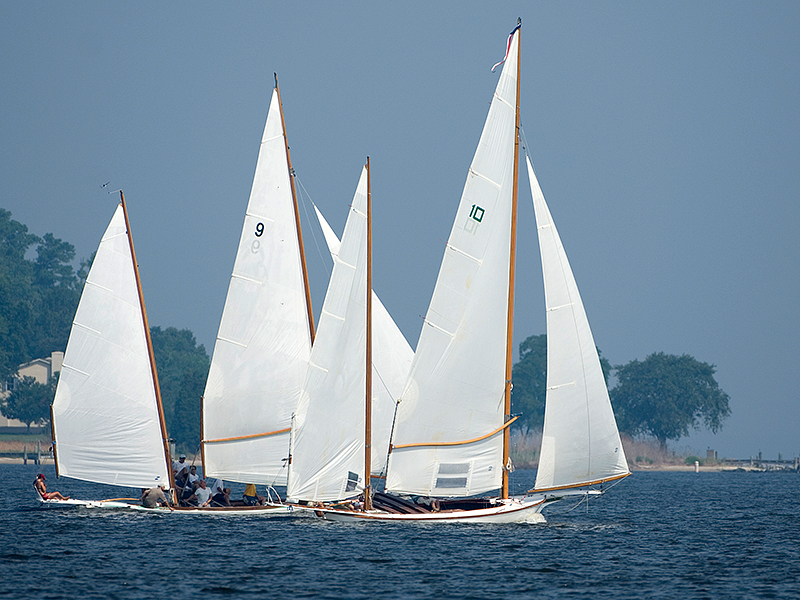 gov cup sun-054