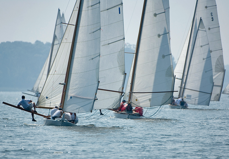 gov cup sun-077