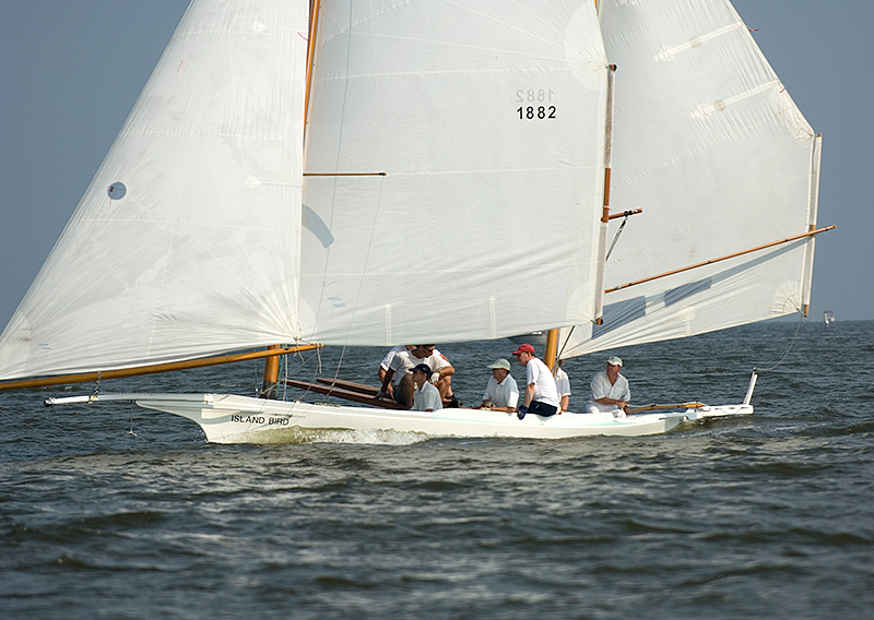 gov cup sun-bird-03