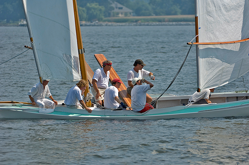 gov cup sun-bird-07