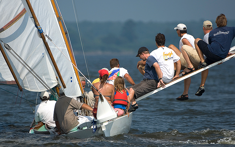 gov cup sun-blossum-10