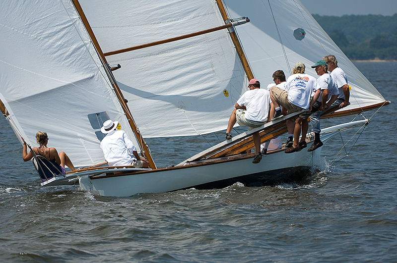 gov cup sun-magic-072