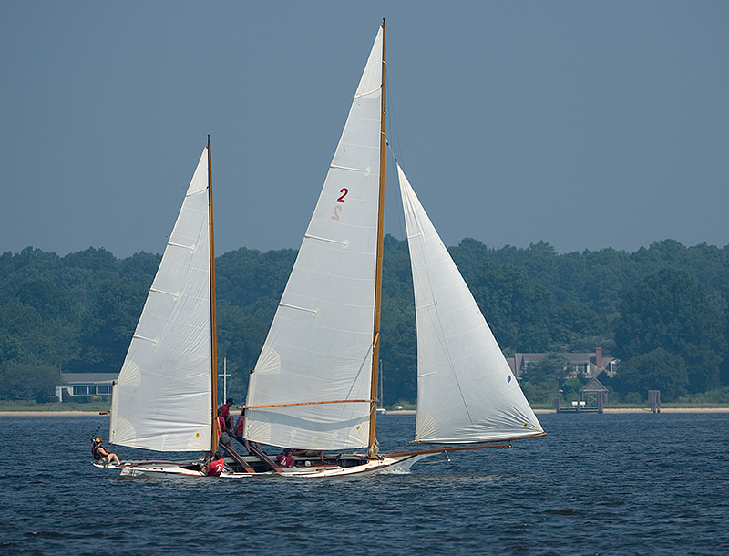 gov cup sun-silverheel-03