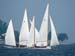 gov cup sun-054