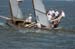 gov cup sun-magic-027