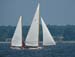 gov cup sun-silverheel-03