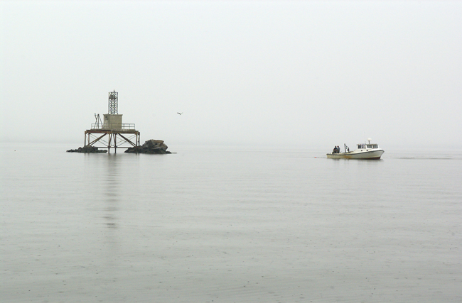 oystering