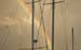 rainbow-masts