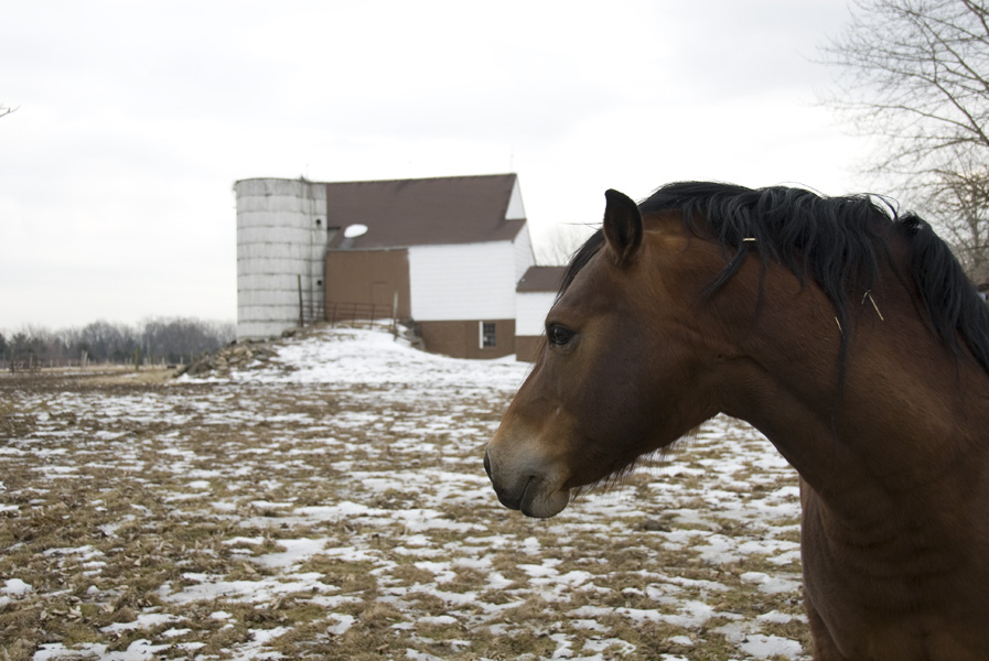 barn-pipersville-26