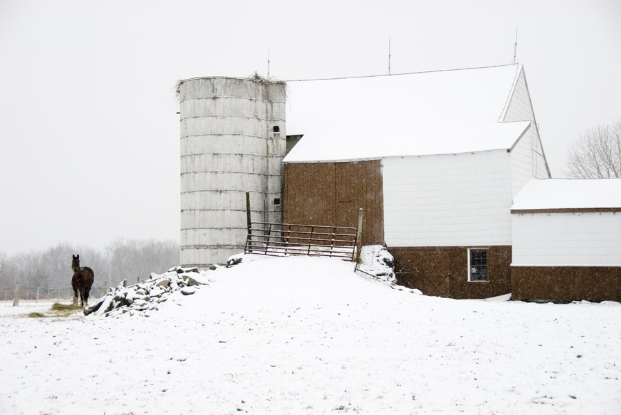 bucks barns-09