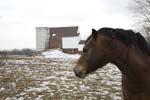 barn-pipersville-26