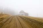 tioga fog-25butler cow barn-1
