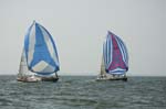 fri-ox-regatta_0076