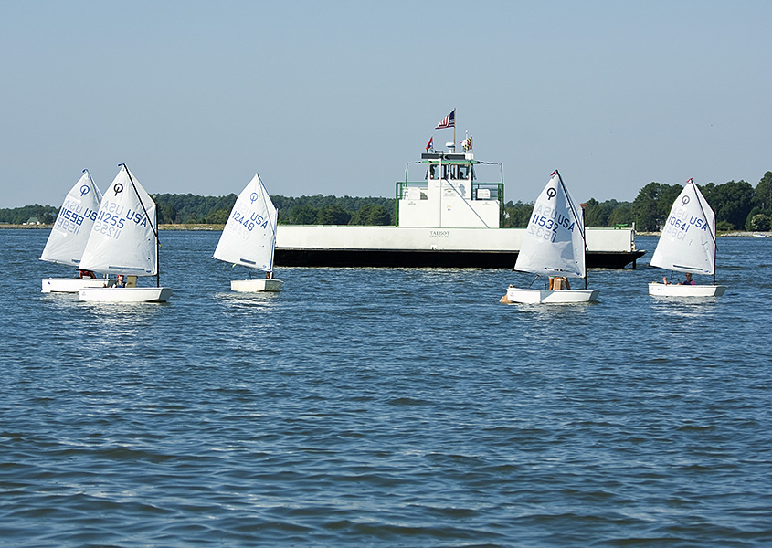 sun-ox-regatta-008
