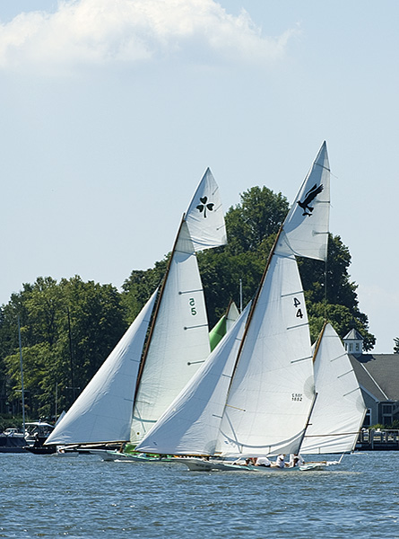 sun-ox-regatta-081