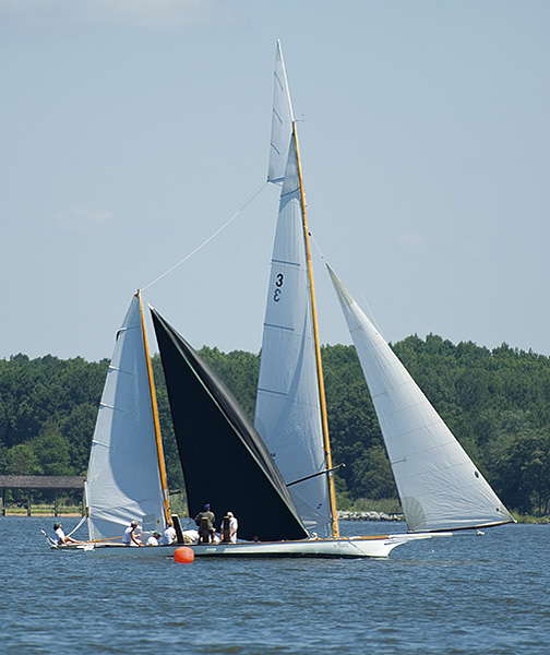 sun-ox-regatta-098