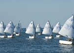 sun-ox-regatta-005