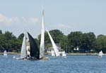 sun-ox-regatta-071