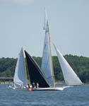 sun-ox-regatta-098