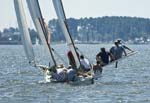 sun-ox-regatta-113