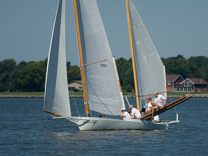 ox-regatta-sun-bird-02