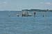 ox-regatta-sun-blossum-13