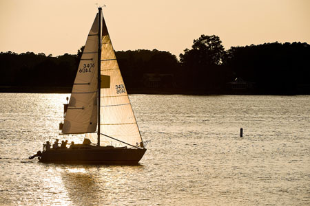 tayc_090814_0101
