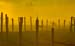 deer fence